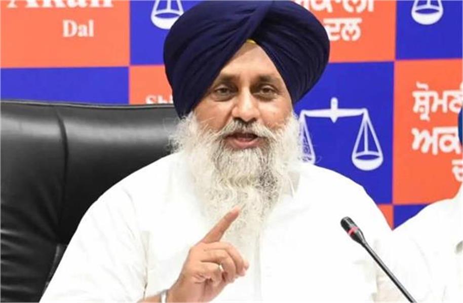 यूथ अकाली दल के नए संगठनात्मक ढांचे का ऐलान, कोर कमेटी से लेकर पदाधिकारियों की नियुक्तियां