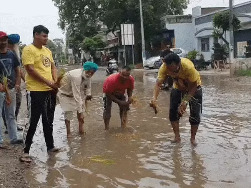 जालंधर में लोगों ने सड़क पर लगा दिए धान:गड्ढे और जलभराव के चलते प्रदर्शन, बोले- प्रशासन नहीं सुधार रहा रोड की हालत