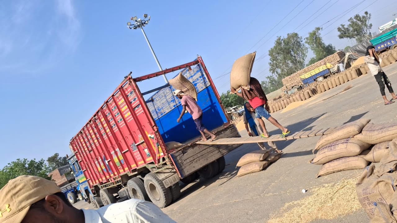 ज़िले की मंडियों में अब तक 1,18,410 मीट्रिक टन गेहूं पहुंचा, 99,049 मीट्रिक टन की हुई खरीद